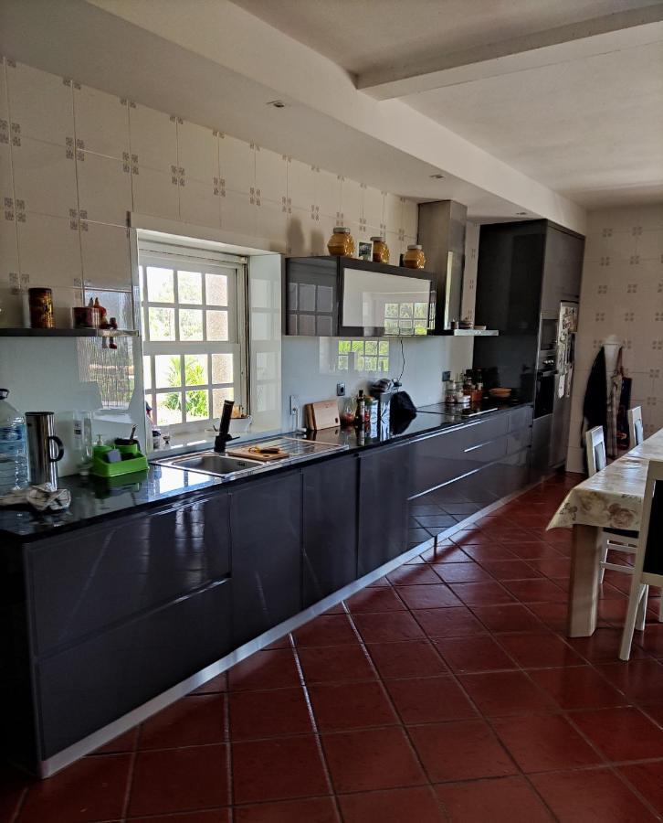 Quinta Da Paixao - Bed & Breakfast Pedraca エクステリア 写真