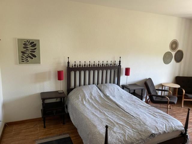 Quinta Da Paixao - Bed & Breakfast Pedraca エクステリア 写真
