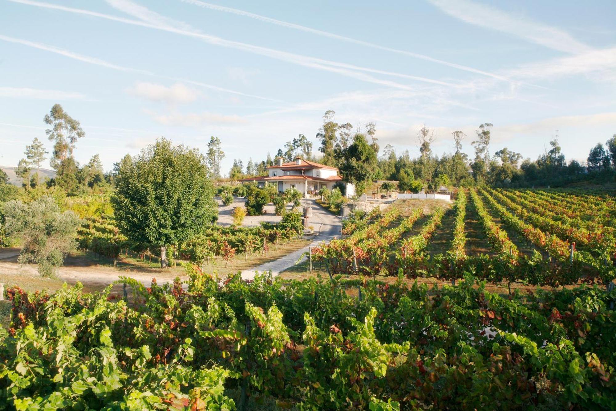 Quinta Da Paixao - Bed & Breakfast Pedraca エクステリア 写真